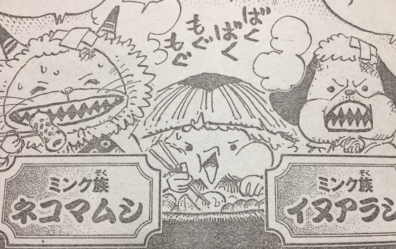 イヌアラシ・ネコマムシ・河松