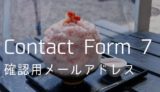 【Contact Form 7】メールアドレス確認機能をコピペで作る方法