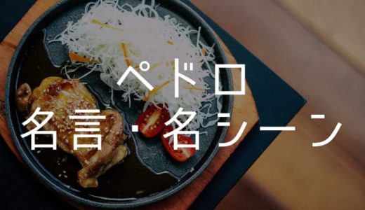 ワンピース ペドロの名言 名シーン4選 ゆガラ達は前へ進め ゆうやの雑記ブログ