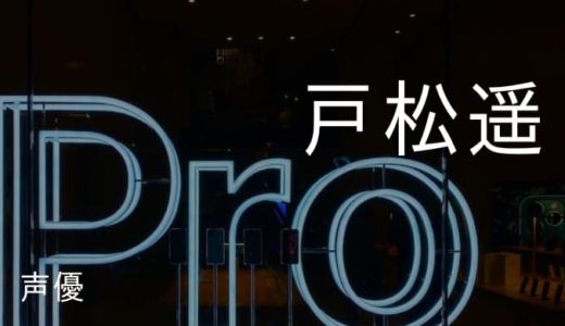 【雑記ブログ運営報告】14ヶ月目の記事数・アクセス数・収益を公開!(2020年12月分)