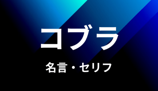ネフェルタリ コブラの名言 セリフ４個まとめ ワンピース ゆうやの雑記ブログ