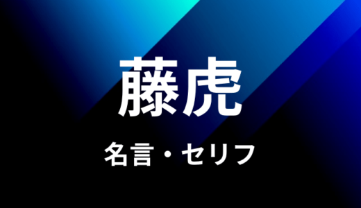 藤虎 イッショウの名言 セリフ８個まとめ ワンピース ゆうやの雑記ブログ