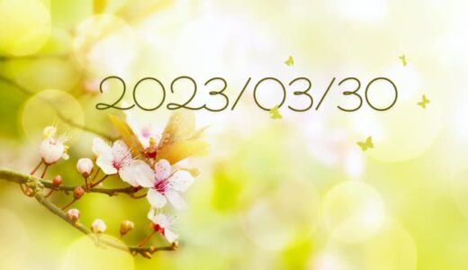 来年こそは東宝スタジオの桜ライトアップいく【2023年3月30日の日記】